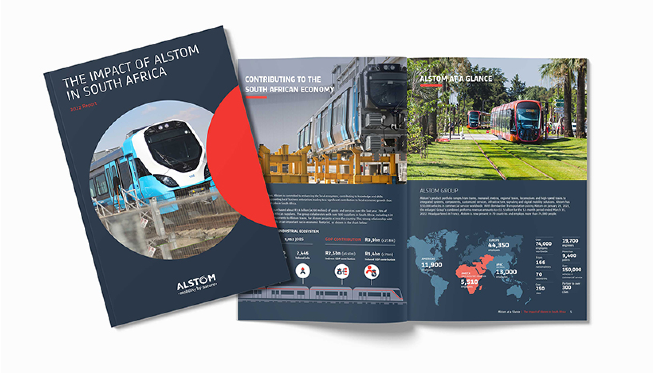 Reports & Newsletters