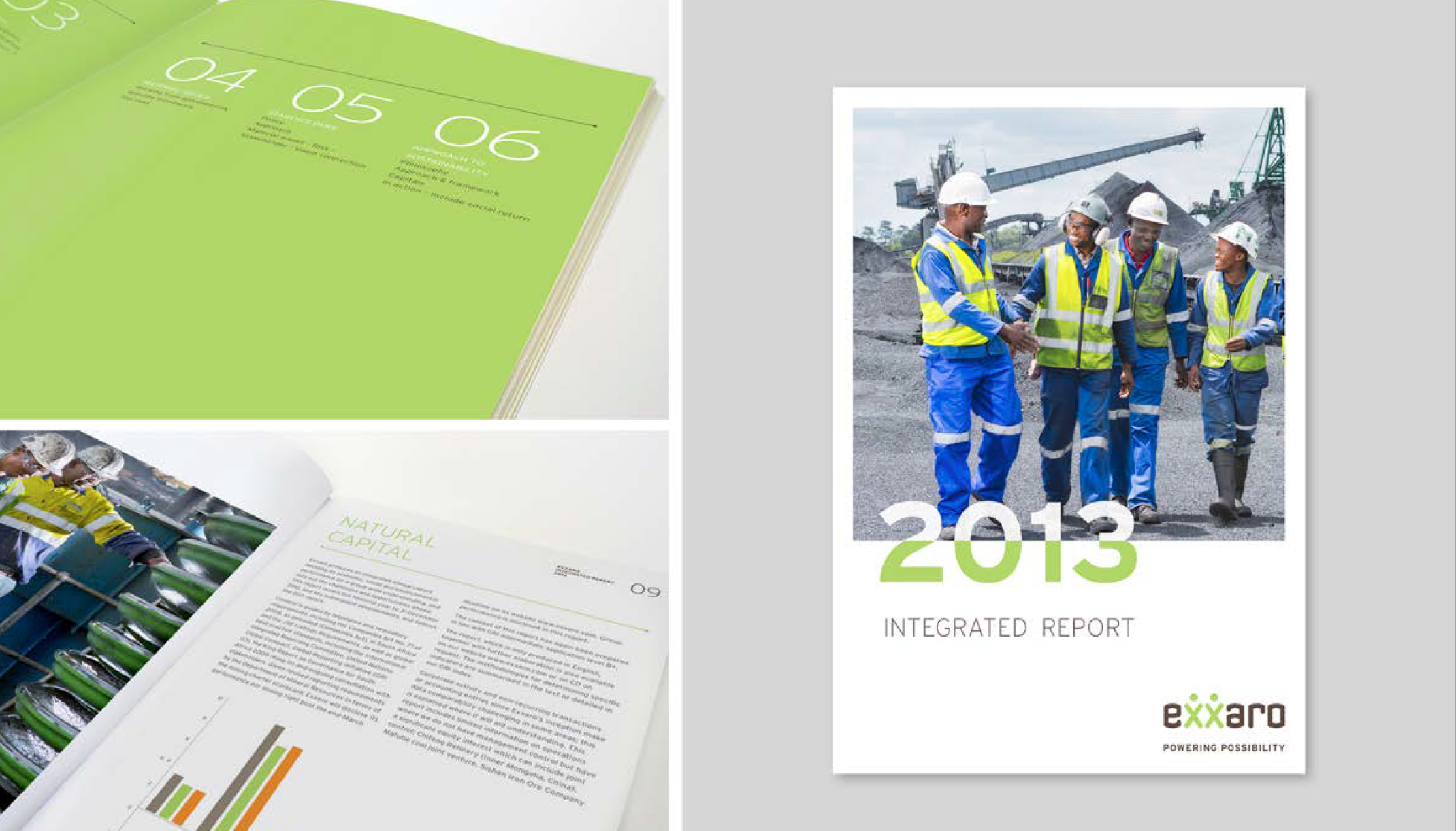 Reports & Newsletters